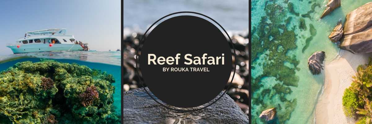 Seychelles reef safari