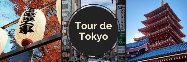 tour tokyo