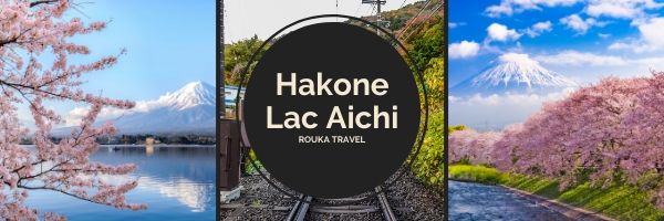 hakone fuji 